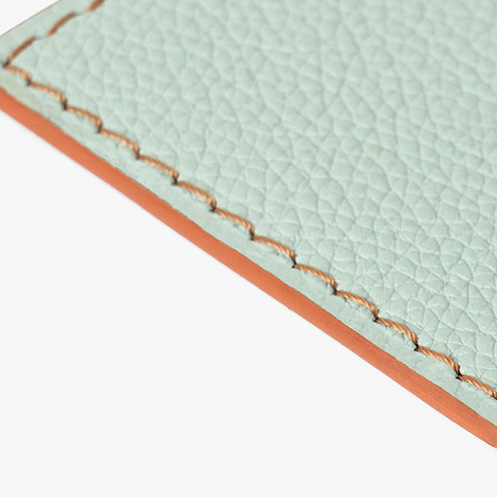 گلسنگ دوخت شتری